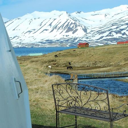 Sky Sighting Igluhus - Stay'In Arbakki Arskogssandur Exterior foto